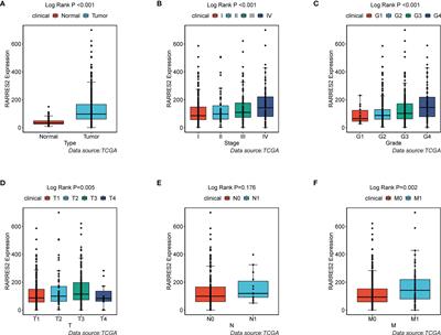 Adipogenic Transdifferentiation and Regulatory Factors Promote the Progression and the Immunotherapy Response of Renal Cell Carcinoma: Insights From Integrative Analysis